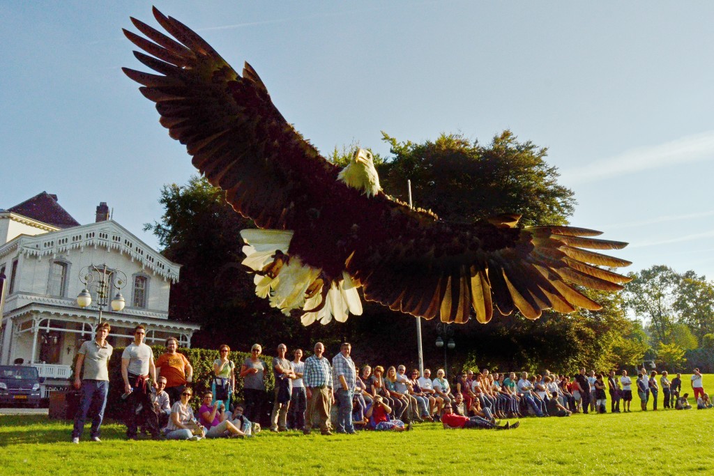Hound & Hawk roofvogeldemonstratie