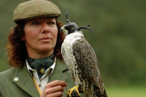 hound&hawk6